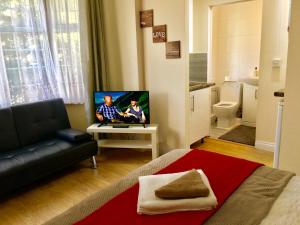 a living room with a couch and a tv on a table at London Luxury Ensuite Apartment in Ilford