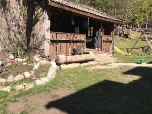 A garden outside Gasserhof Aicha