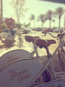 a white bike parked on a sidewalk with palm trees in the background at Havana Cabana at Key West in Key West
