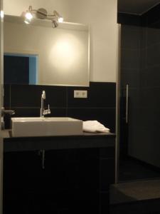 ein Bad mit einem Waschbecken und einem Spiegel in der Unterkunft Ferienwohnung Mainz in Mainz