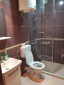 een badkamer met toilet, douche en wastafel bij Zlatibor Hills Nature in Zlatibor