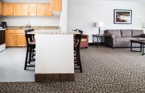 Χώρος καθιστικού στο Gray Wolf Inn & Suites