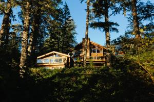 ein Haus mitten im Wald in der Unterkunft The Cabins at Terrace Beach in Ucluelet