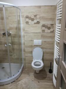 mała łazienka z toaletą i prysznicem w obiekcie Apartmán Prefa w mieście Benešov nad Ploučnicí