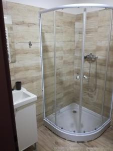 prysznic ze szklaną obudową w łazience w obiekcie Apartmán Prefa w mieście Benešov nad Ploučnicí