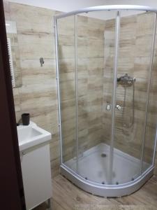 a shower with a glass enclosure in a bathroom at Apartmán Prefa in Benešov nad Ploučnicí