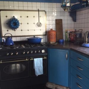 een keuken met een zwarte kachel en blauwe kasten bij B&B De Lotus in Hoevelaken