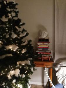 a christmas tree in a living room with a pile of books at B&B I Sassetti in Foligno
