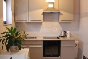 a kitchen with white cabinets and a potted plant at Apartment Paula in Slunj