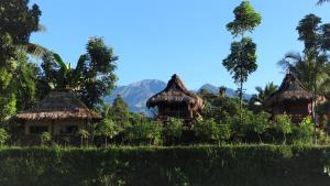 three huts in a field with mountains in the background at Satu Lingkung in Tetebatu