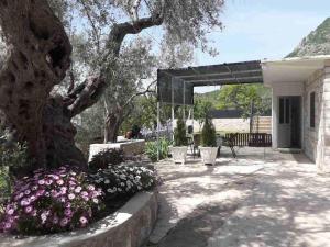 un jardín con un árbol y flores frente a una casa en Apartman Nikocevic en Dobra Voda