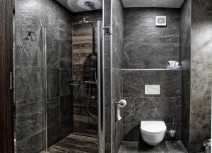 a bathroom with a shower and a toilet at Apartment Centrum Luxury Mountain View in Poprad