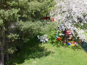 einen Blick über einen Garten mit Stühlen und einem Baum in der Unterkunft Villa Plischke in Lipová-lázně