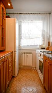 una cucina con frigorifero e finestra di MSC Apartments Zakopane Centrum Classic a Zakopane