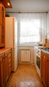 Kuchyňa alebo kuchynka v ubytovaní MSC Apartments Zakopane Centrum Classic