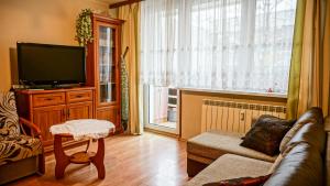 salon z kanapą i telewizorem z płaskim ekranem w obiekcie MSC Apartments Zakopane Centrum Classic w Zakopanem