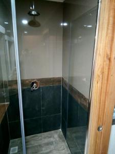 a shower with a glass door in a bathroom at El Pionero in Coihaique