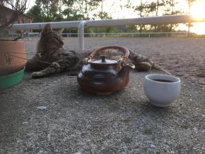 Gallery image of Penzion Hradisko in Rožnov pod Radhoštěm +17 photos