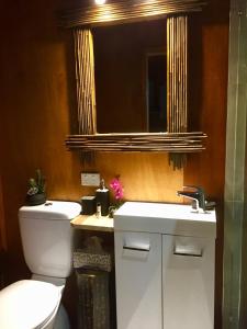 a bathroom with a sink, toilet and mirror at Noosa Hinterland Retreat in Tinbeerwah