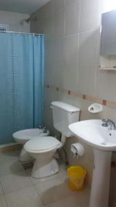 a bathroom with a toilet and a sink at Departamentos Niñas in Santa Fe