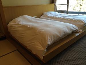 Voodi või voodid majutusasutuse Hotel Park toas