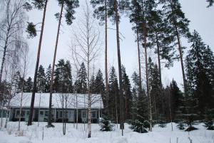 Spa Suites Ikaalisten Kylpylä през зимата