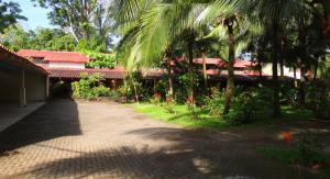 Gallery image of Casitas Joanna in Puerto Viejo