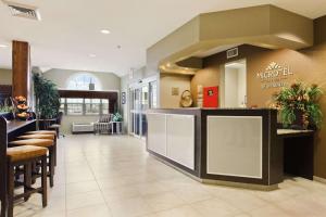 a lobby of a modern hotel with a counter at Microtel Inn & Suites by Wyndham Williston in Williston