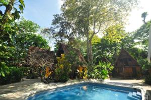 المسبح في Howler Monkey Hotel أو بالجوار