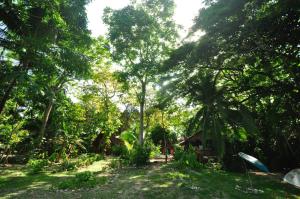 حديقة خارج Howler Monkey Hotel