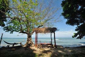 a sandy beach with a wooden bench and palm trees at Howler Monkey Hotel in Montezuma
