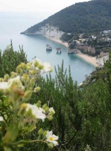a view of a beach with boats in the water at Casa Dante Bed&Breakfast in Mattinata