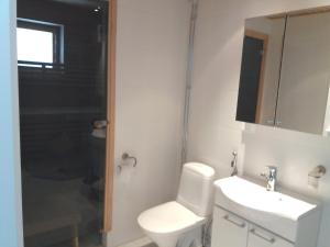 ein Bad mit einem WC, einem Waschbecken und einer Dusche in der Unterkunft LeviBooking LeviStar II apt 309 in Levi