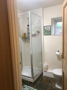 a shower stall in a bathroom with a toilet at The Annexe Croughton in Banbury