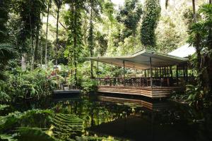 Zahrada ubytování Daintree Ecolodge