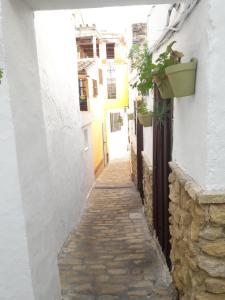 a narrow alley with white buildings and a plant at CH Apartments in Conil de la Frontera