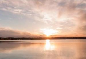 Příroda nedaleko prázdninového areálu + 27 fotografií