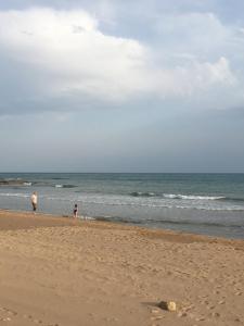 Spiaggia vicina o nei dintorni dell'appartamento