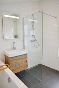 a bathroom with a sink and a glass shower at Het Torentje aan de IJssel in Montfoort