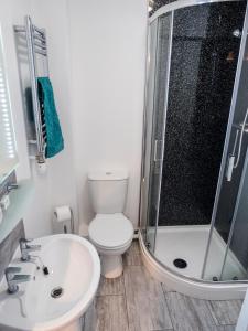 a bathroom with a toilet and a shower and a sink at The Birches in Dingwall