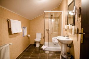 a bathroom with a toilet and a shower and a sink at Pensiunea Casa Helis in Sibiu +66 photos
