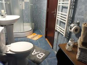 Koupelna v ubytování Vila Calix