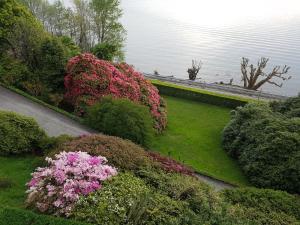 Vonkajšia záhrada v ubytovaní BMP APARTMENT GIOIOSA 1 terrazza vista Lago
