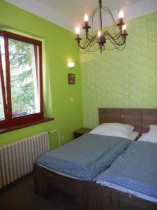 a bedroom with two beds with green walls and a chandelier at Apartmán Dobrá Naděje in Uherské Hradiště