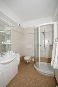 a bathroom with a toilet and a sink and a shower at Pensione Ca' Serafina in Lodano