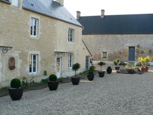 un patio con macetas frente a un edificio en Gite du Jardin Des Sources, en Vaux-sur-Seulles