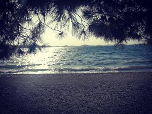 Hrvatska, PIROVAC, Apartman Trusic