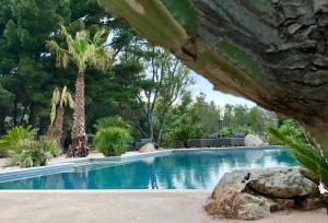 a swimming pool with palm trees in a yard at Baglio La Porta by Geocharme in San Vito lo Capo