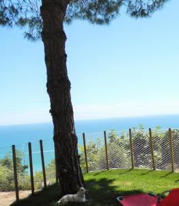 Gallery image of B&B Verderosa in Cupra Marittima