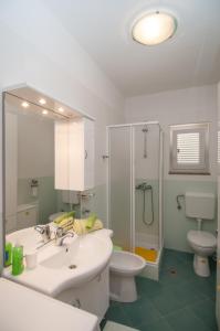 W łazience znajduje się umywalka, toaleta i lustro. w obiekcie Dragica w mieście Lovran